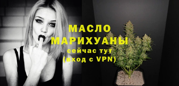 гидра Краснослободск