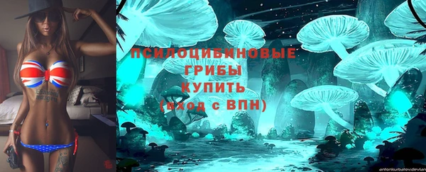 гидра Краснослободск